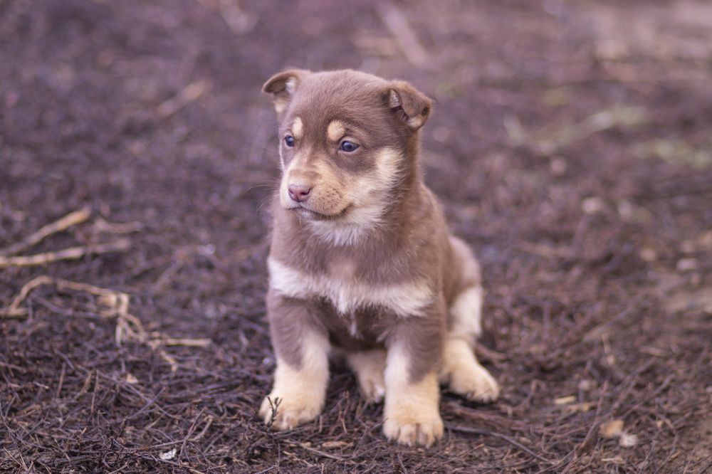 Photograph by Ivan Bazhenov