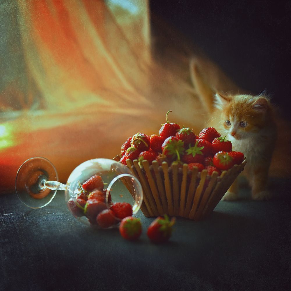 Фотография автора Светлана Лукьянова