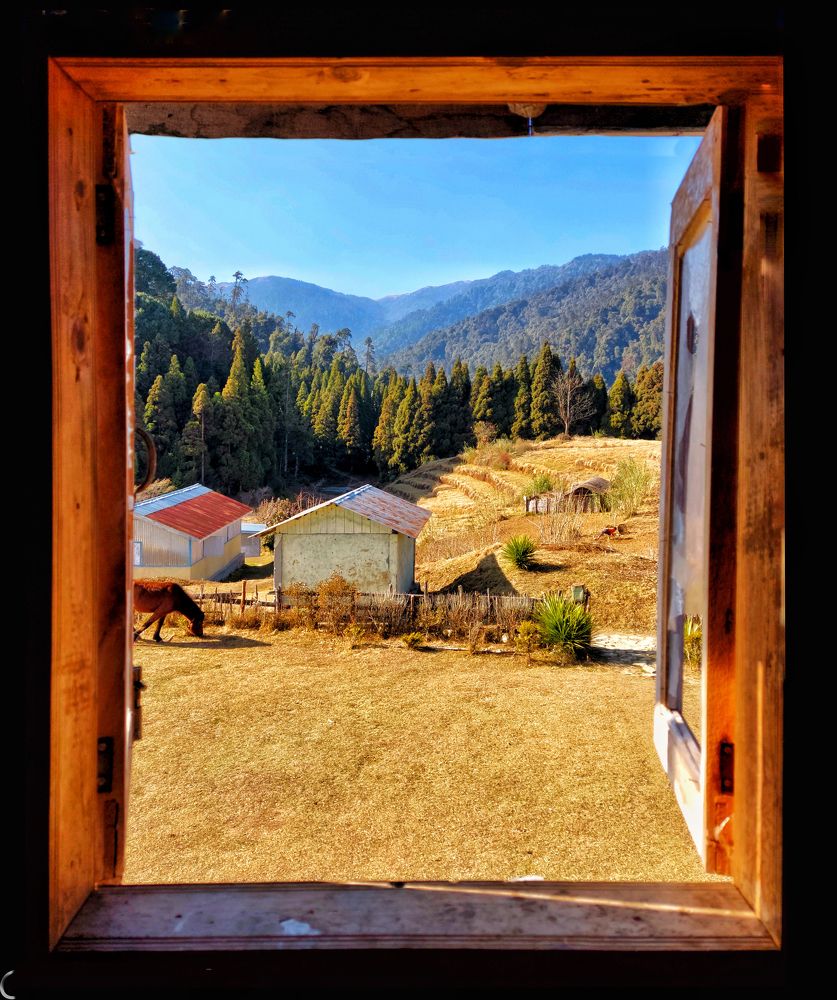 Photograph by Shameek Mukherjee