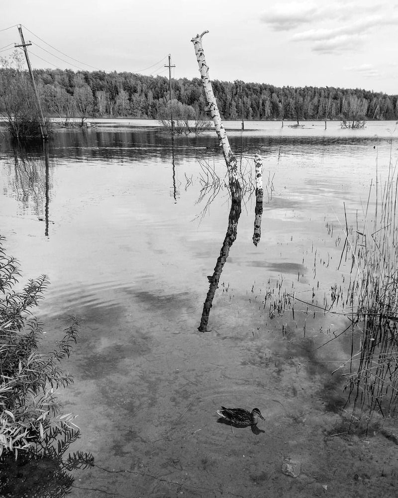 Photograph by Александр Лабутин