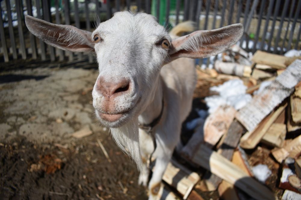 Photograph by Олег Бережных