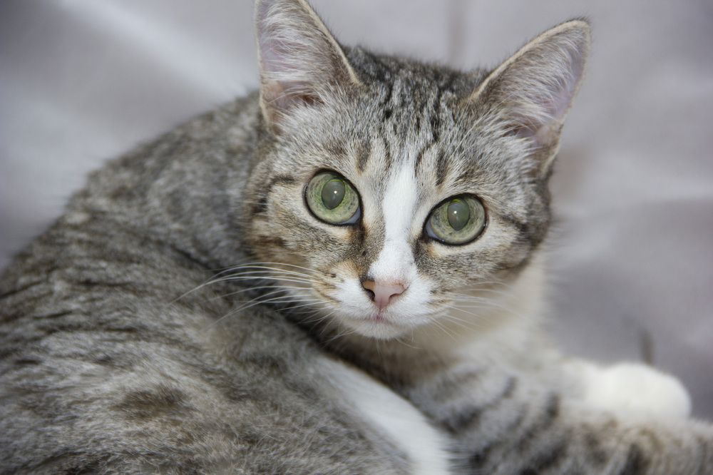 Photograph by Anna Gapanovich