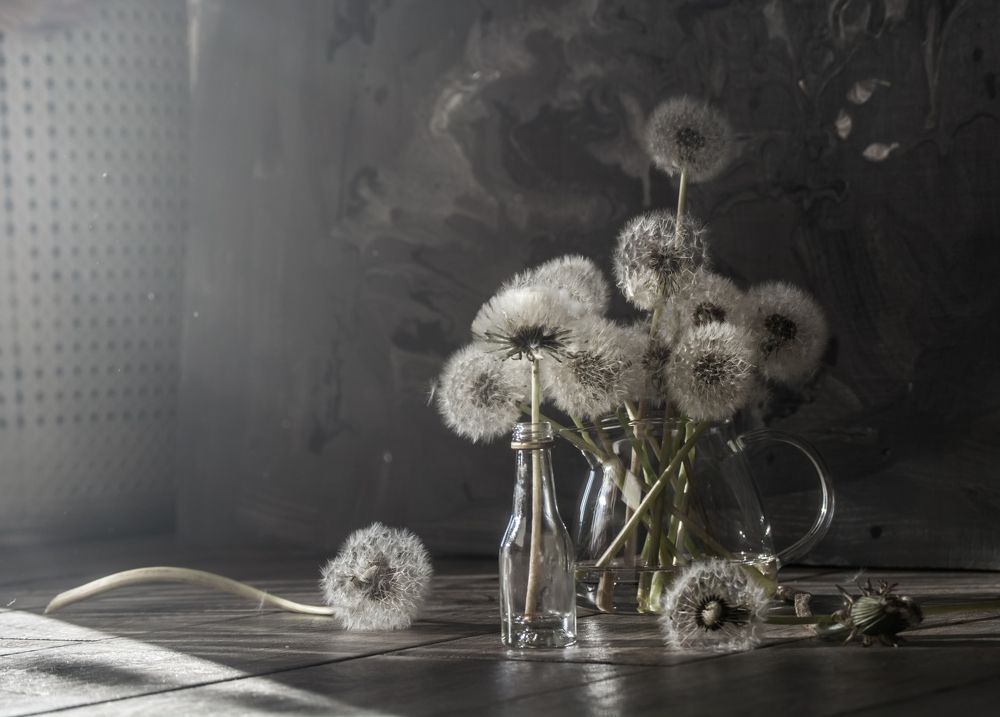 Photograph by Елена Плотникова