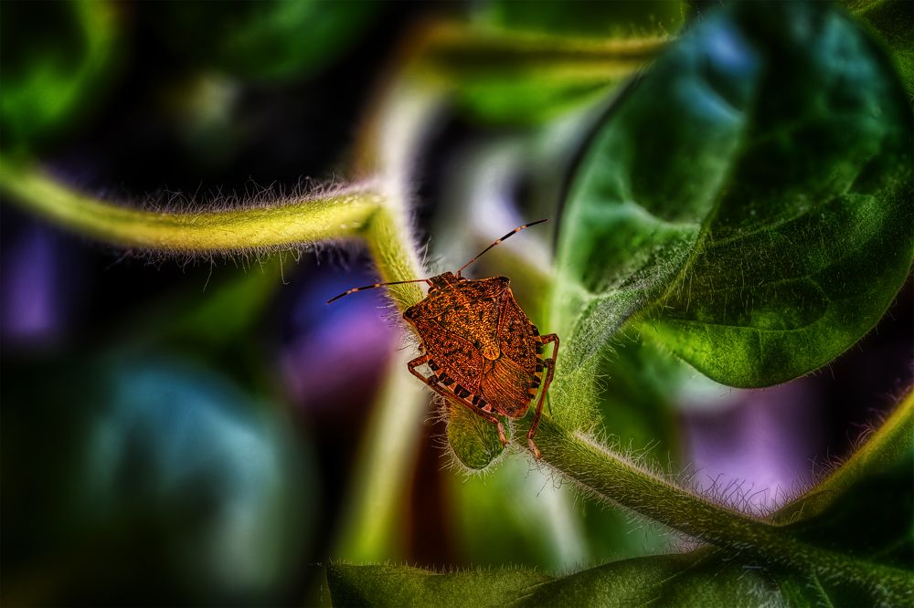 Photograph by Владимир Кваша