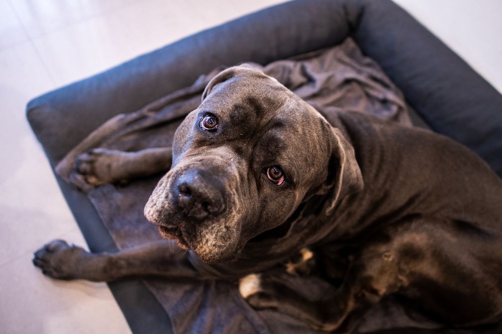 Photograph by Анна Марденски