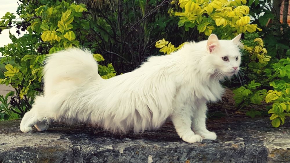 Фотография автора Mia Bernhardt