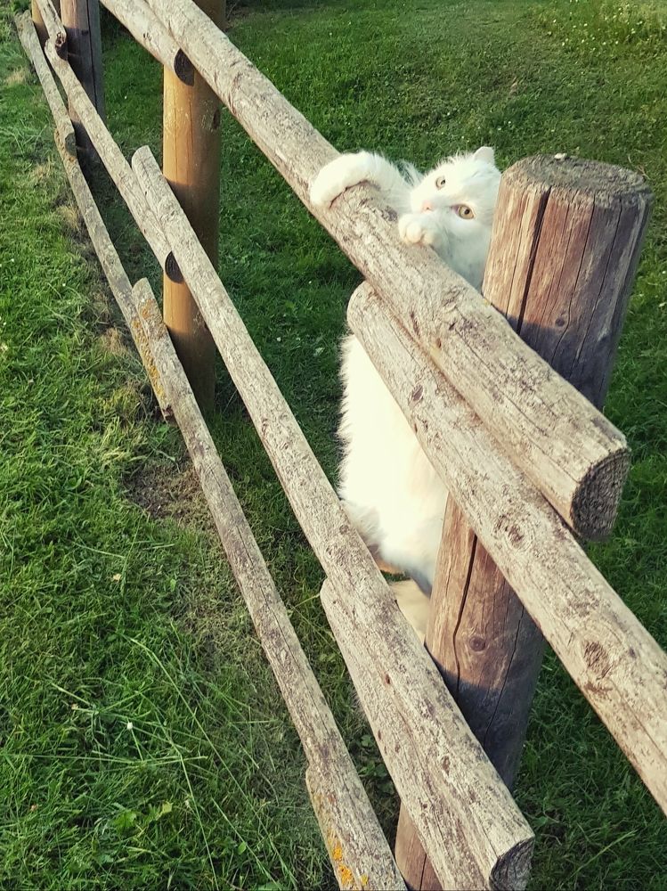 Фотография автора Mia Bernhardt