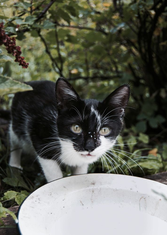 Photograph by Мария Дубова