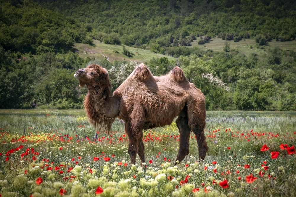 Photograph by Елена Гусева