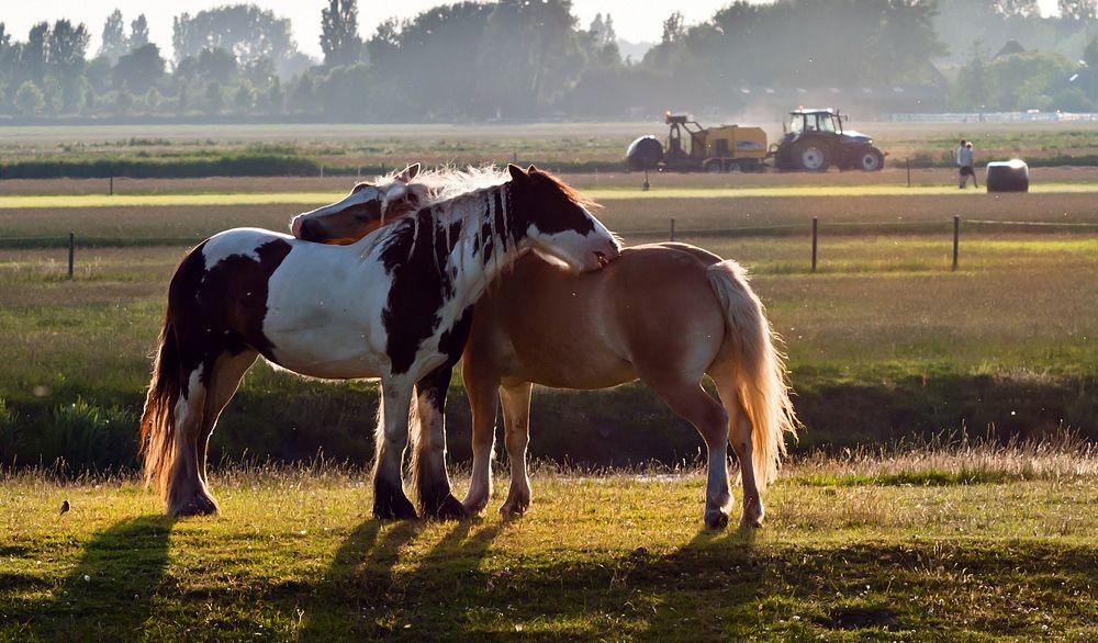 Фотография автора Людмила Прокофьева