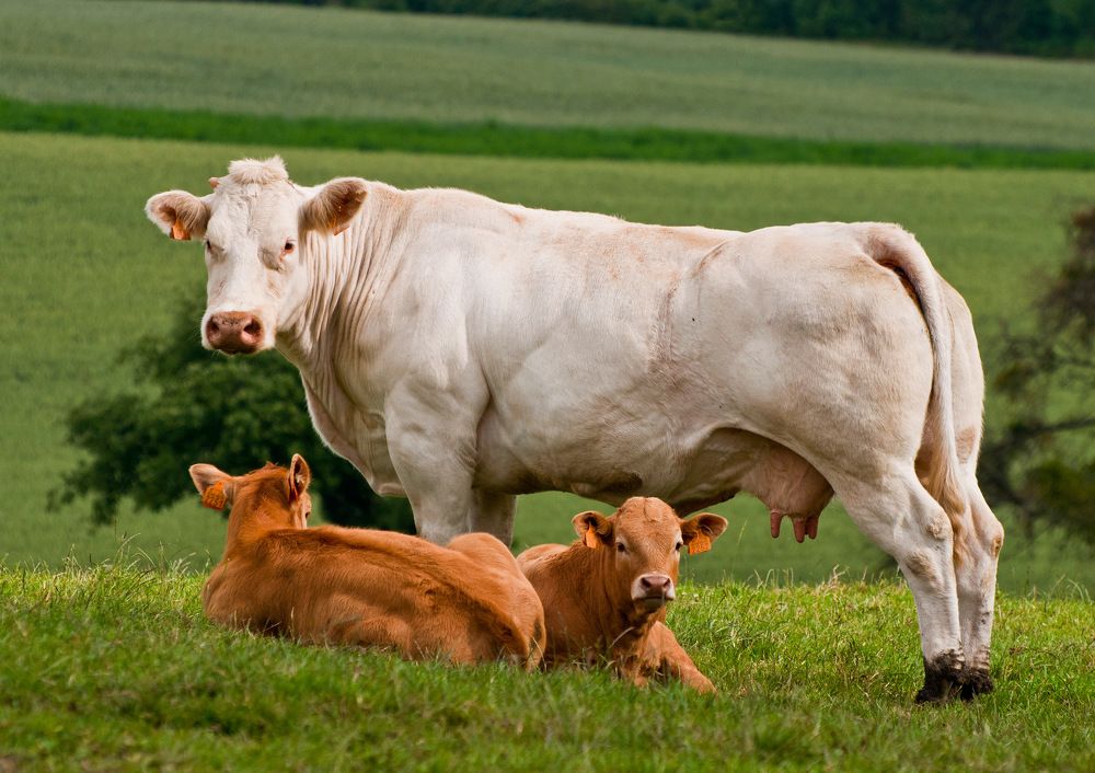 Фотография автора Людмила Прокофьева