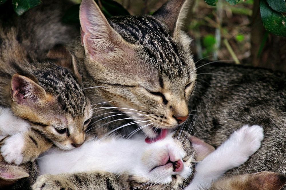 Photograph by Tunc Yagdi