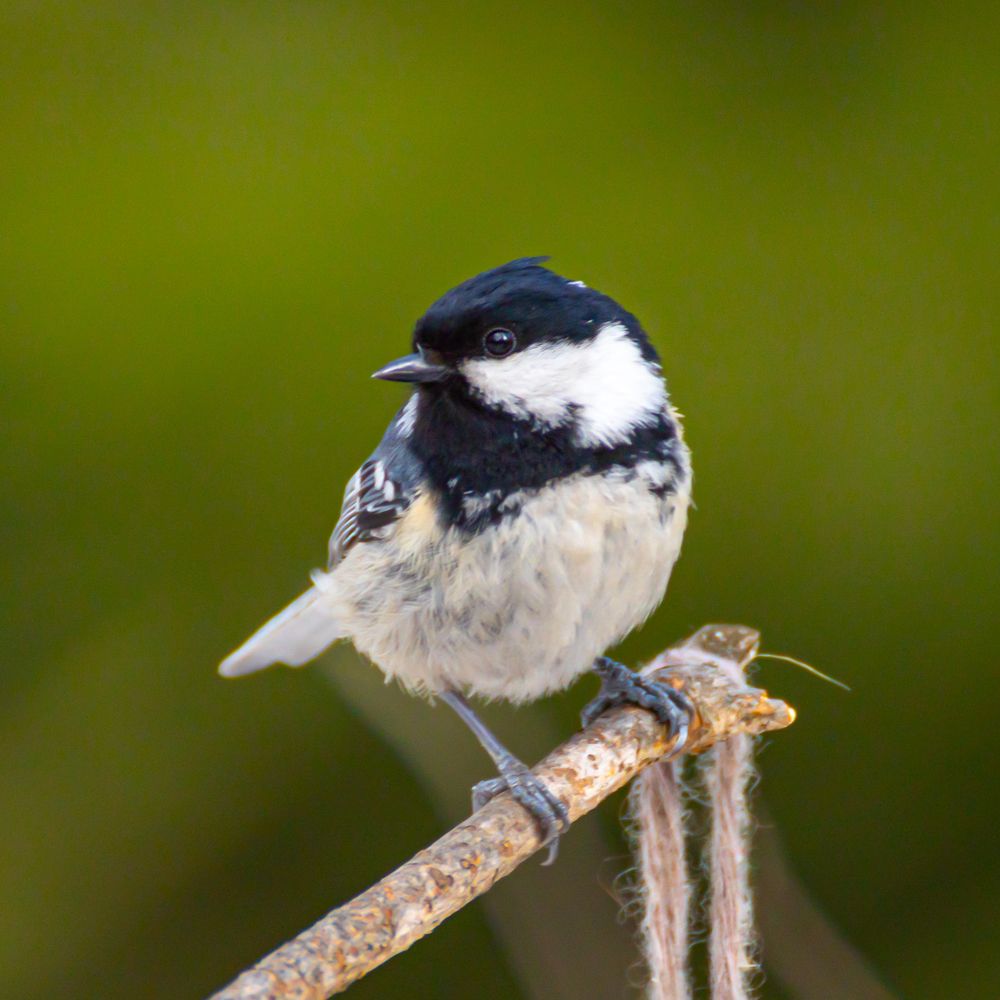 Photograph by Сергей Осинцев