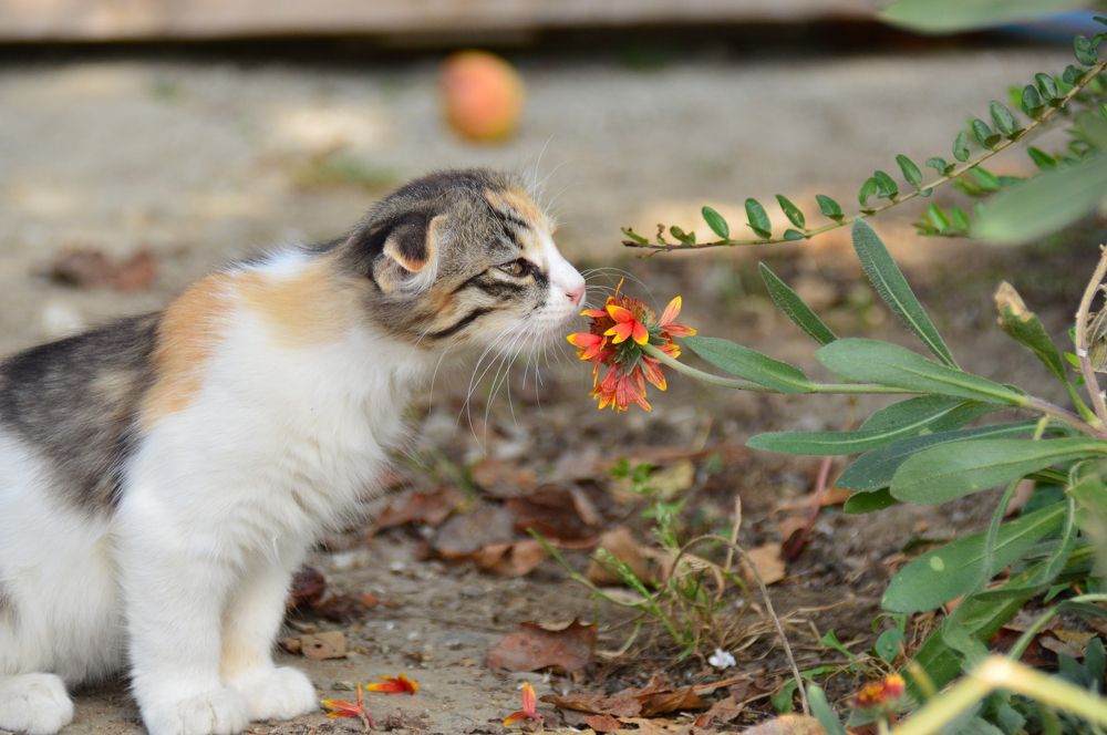Photograph by Дарья Беляк