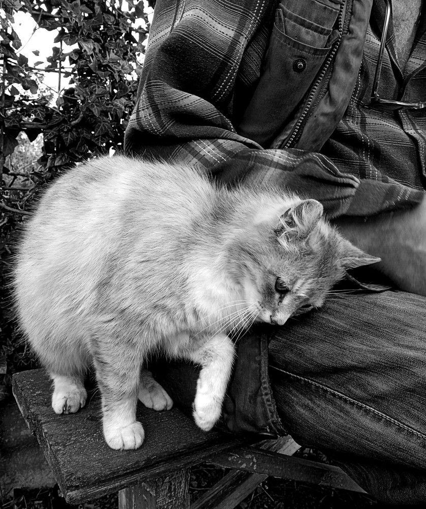 Photograph by Дмитрий Соколов