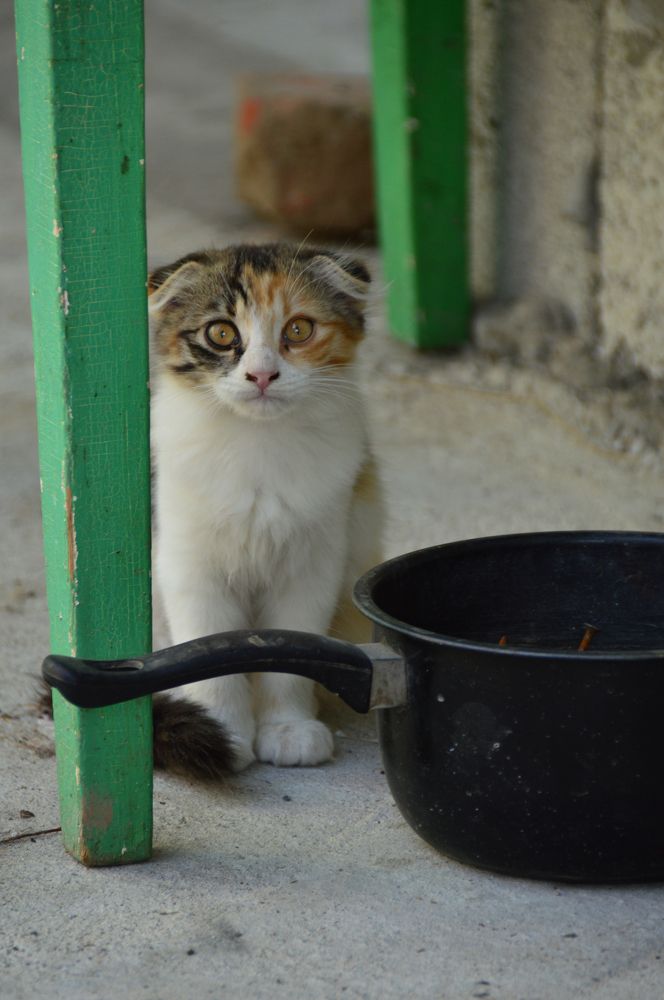 Photograph by Дарья Беляк