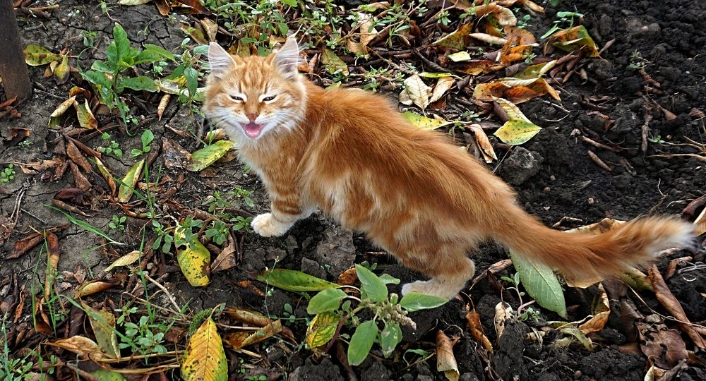 Photograph by Дмитрий Соколов