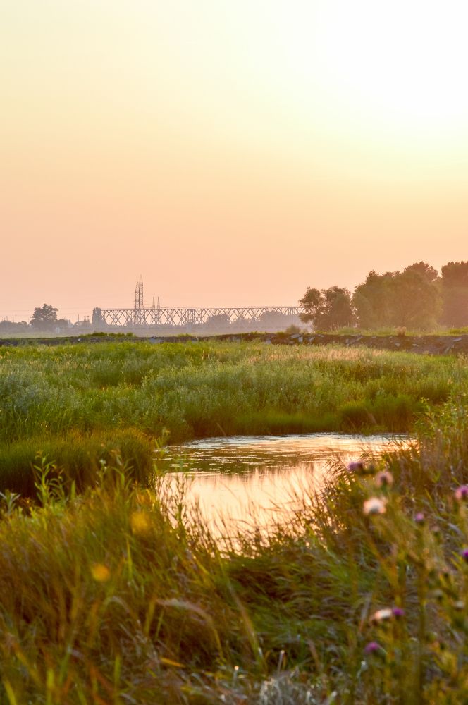 Photograph by Дарья Беляк