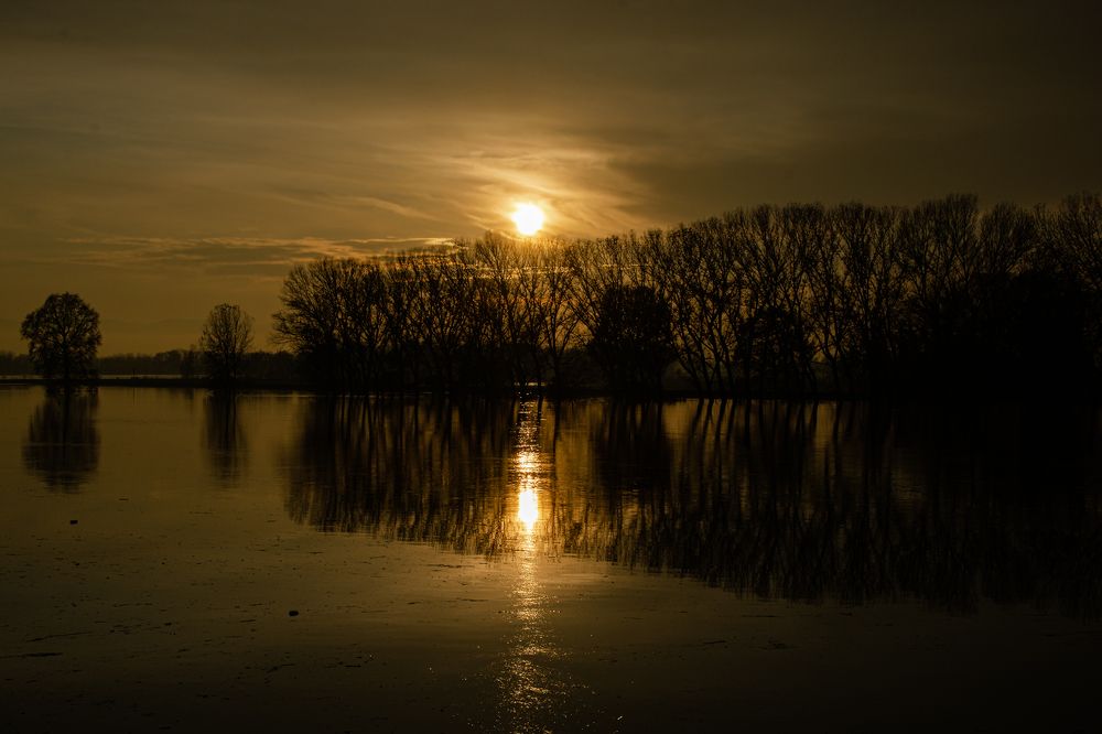 Photograph by Dino Sirica