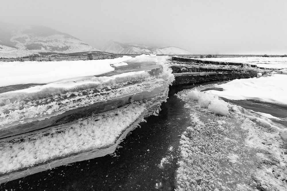 Photograph by Галина