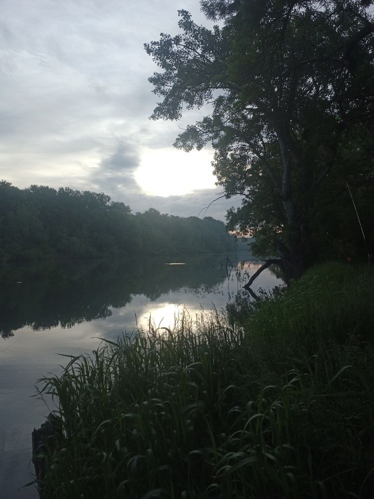 Photograph by Дарья Паринова