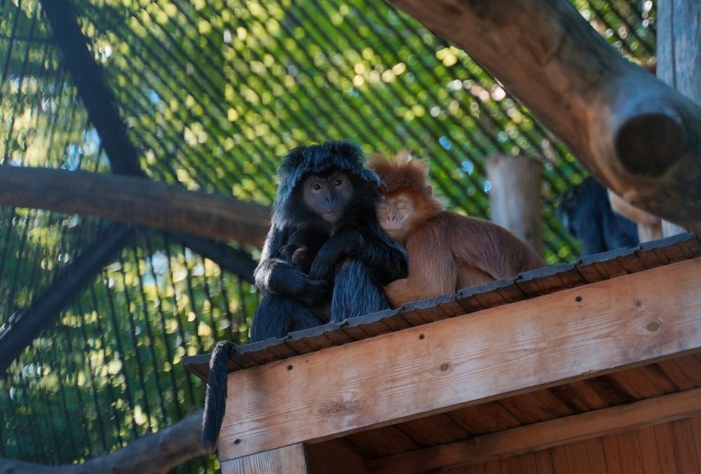 Photograph by Сергей Андрейчук