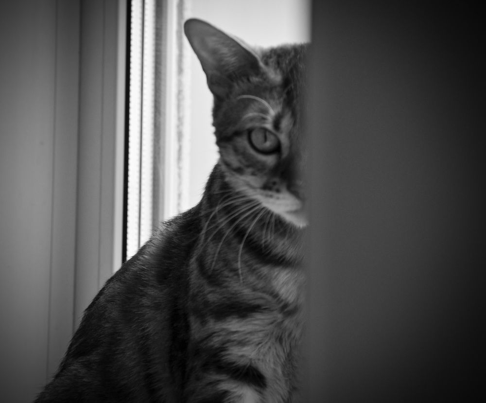 Photograph by Irina Lobko