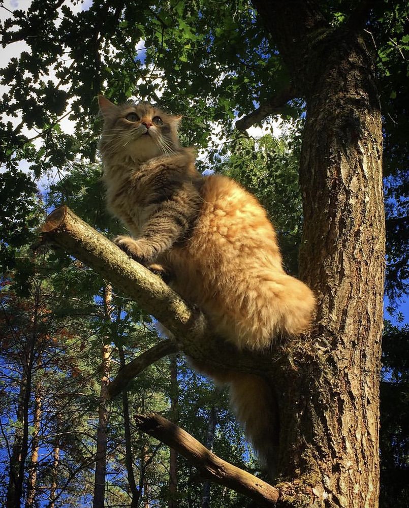 Photograph by Светлана Коган