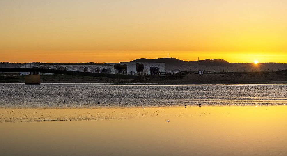 Amanecer sobre el puente