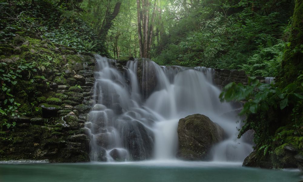 Фотография автора Алексей Чешко