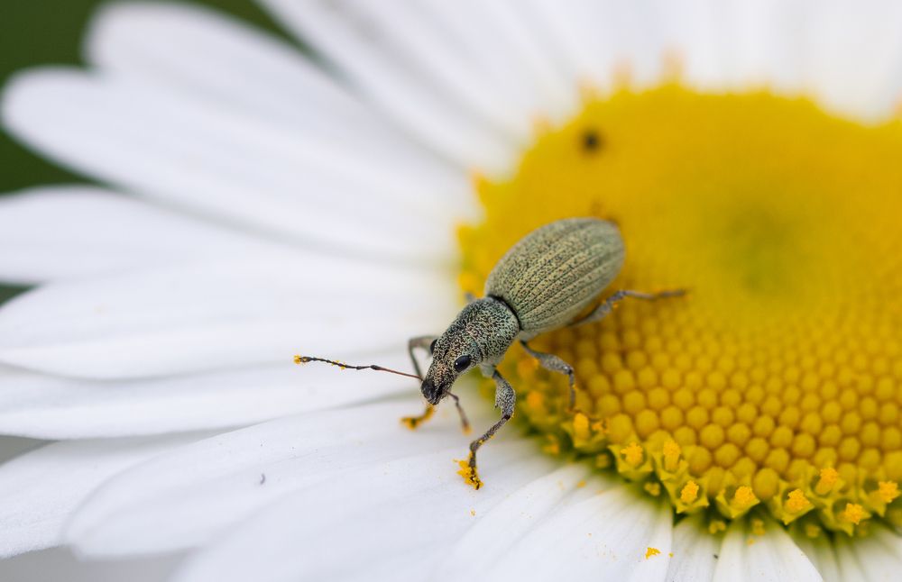 Photograph by Оксана Паляница