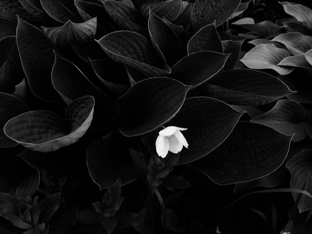 Photograph by Станислав Ситников