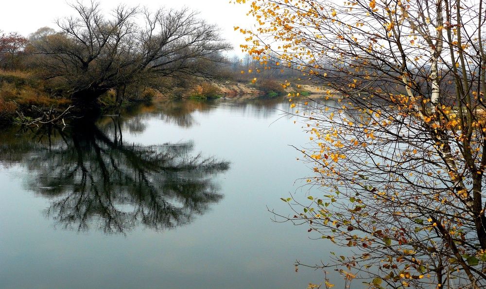 Photograph by леонид натапов