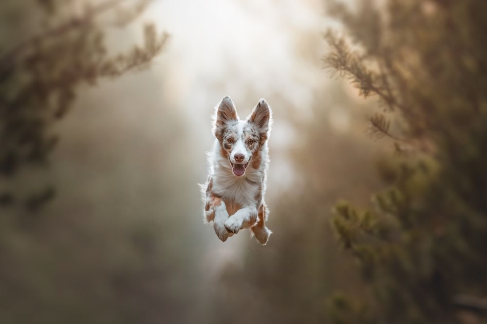 Photograph by Ve Shandor