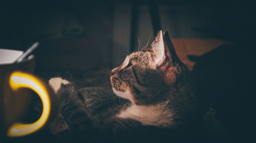 Photograph by Дмитрий Малышев