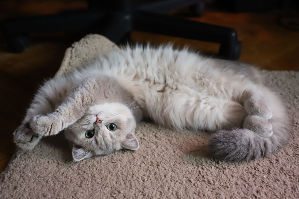 Photograph by Юлия Лазебная