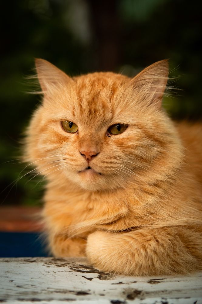 Photograph by Наталья Булгакова