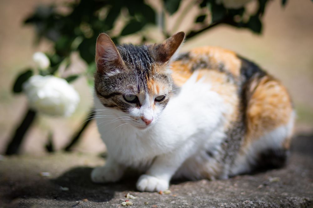 Photograph by Наталья Булгакова