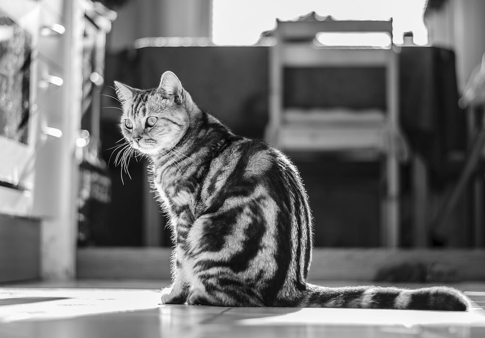 Photograph by Svetlana Soboleva