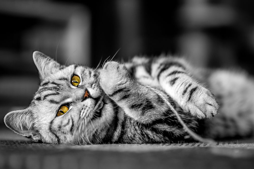 Photograph by Svetlana Soboleva