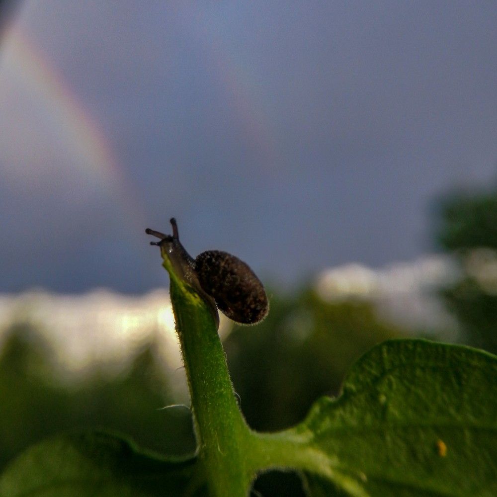Photograph by Дарья Демина