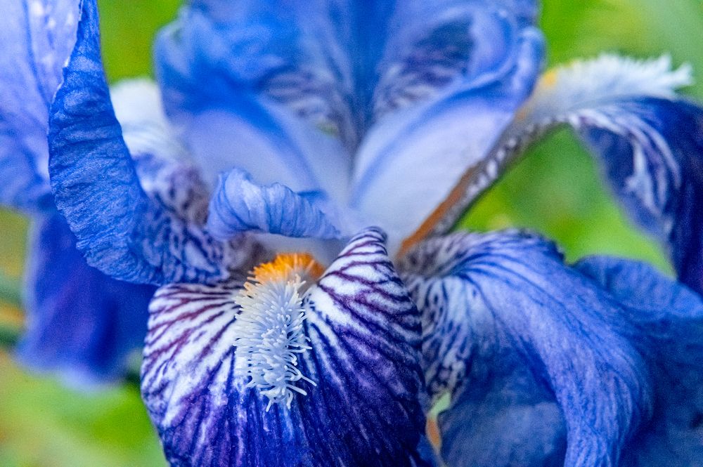 Photograph by Svetlana Soboleva