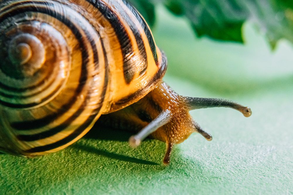 Photograph by Svetlana Soboleva