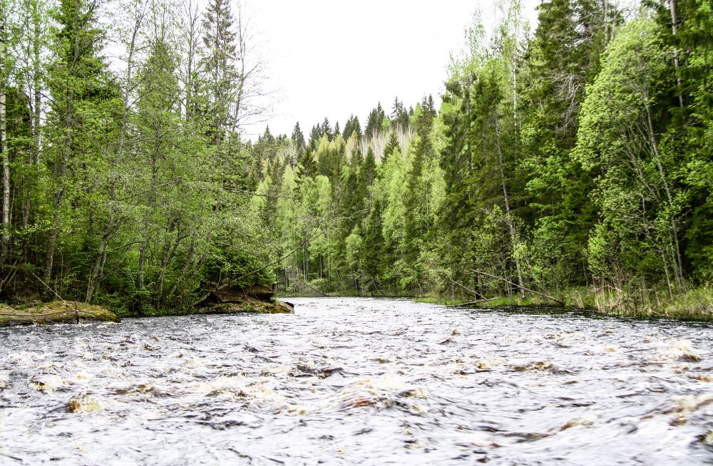 Photograph by Виктория Писаренко