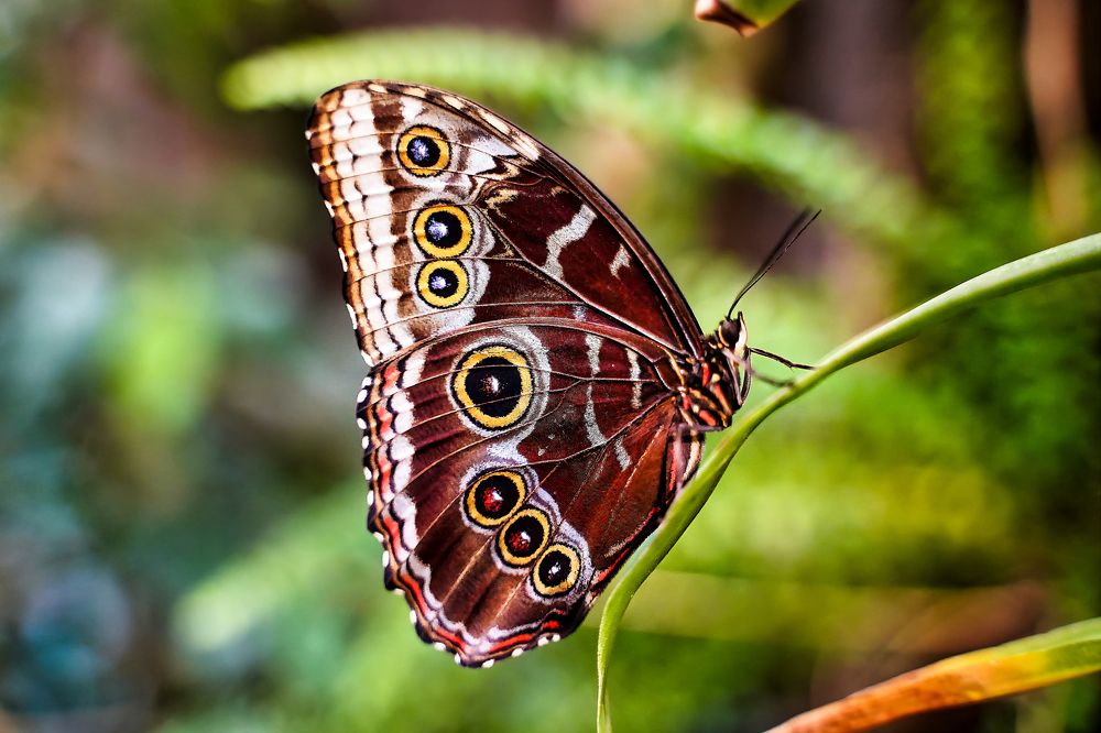 Photograph by Krzysztof Pawlicki