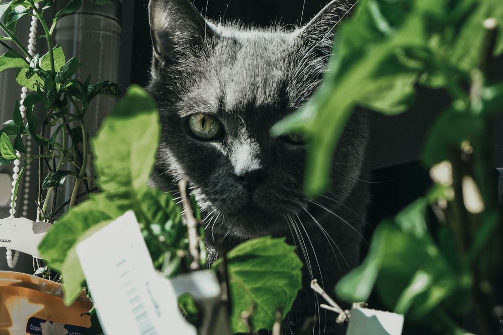 Photograph by Ольга Чуманова