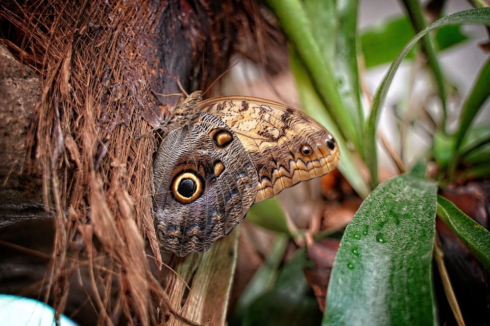 Photograph by Krzysztof Pawlicki