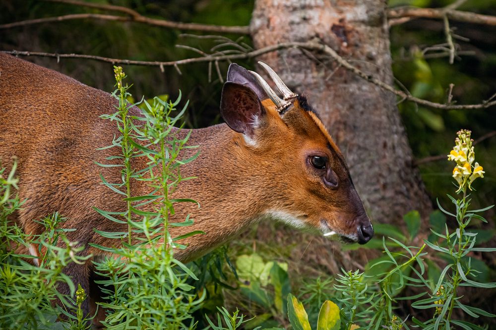 Photograph by Svetlana Soboleva