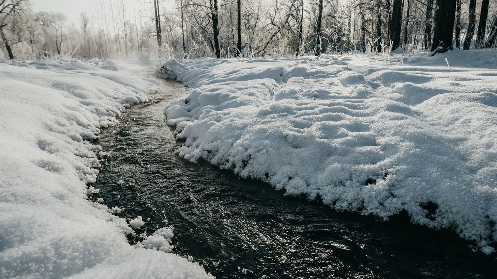 Photograph by Ольга Чуманова