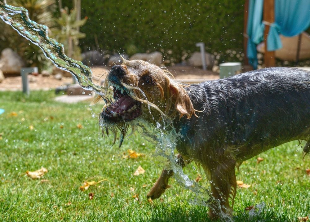 Фотография автора Anna Larina